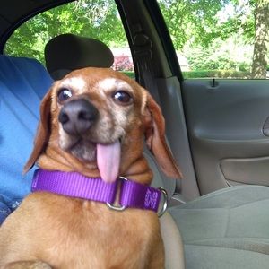 Meet your Posher, Rj